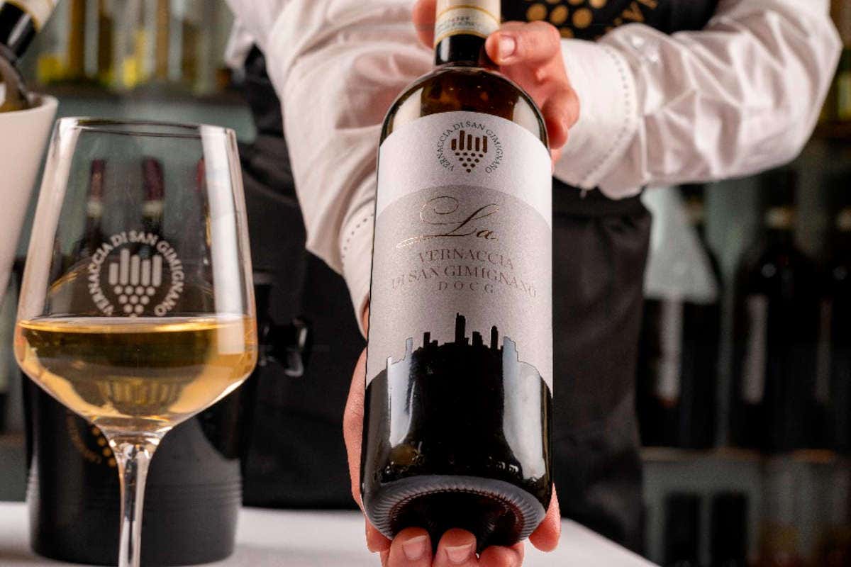 Vernaccia di San Gimignano, il bianco che sfida i cambiamenti climatici (e vince)