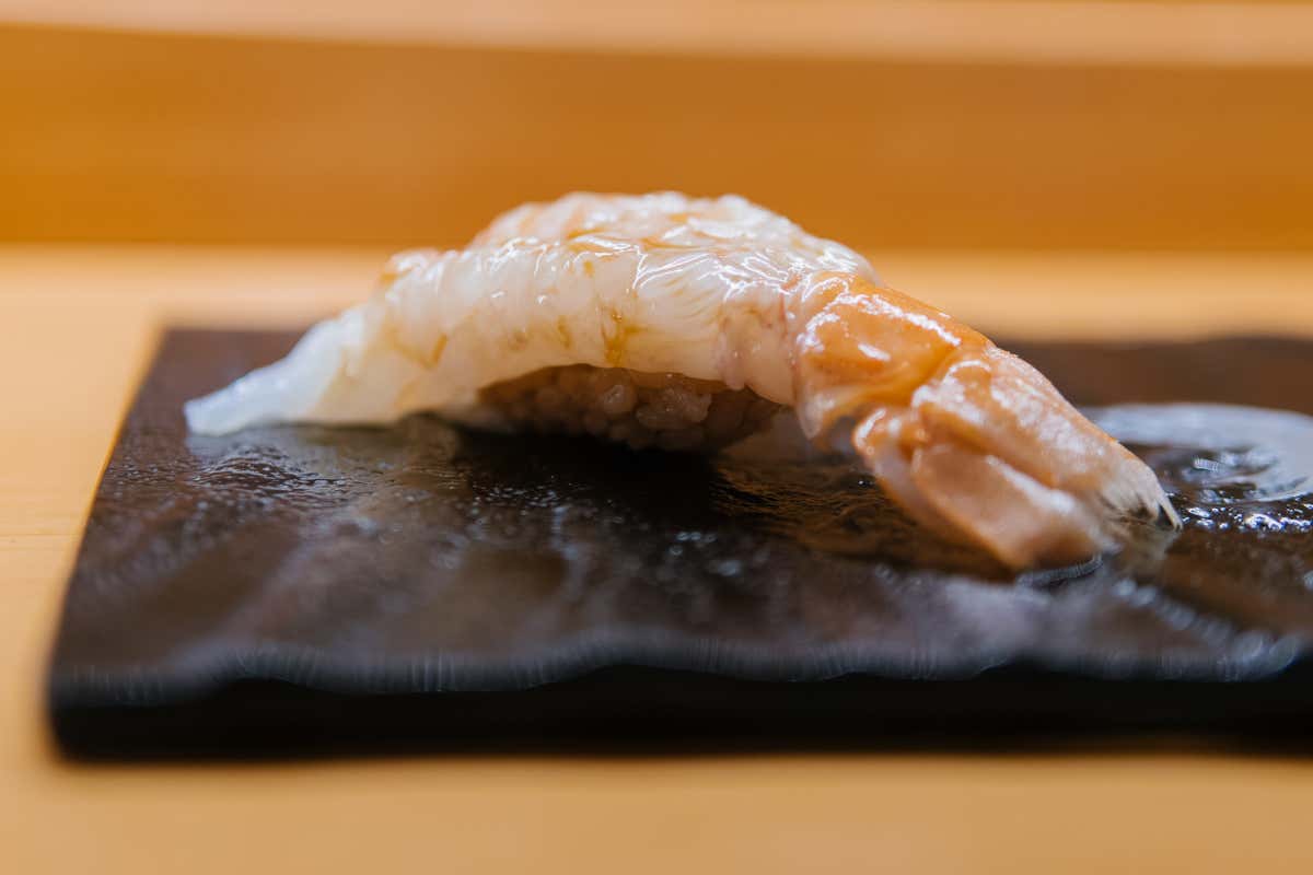 A Prato l’arte dell’Omakase: il viaggio di Francesco Preite tra Giappone e Toscana