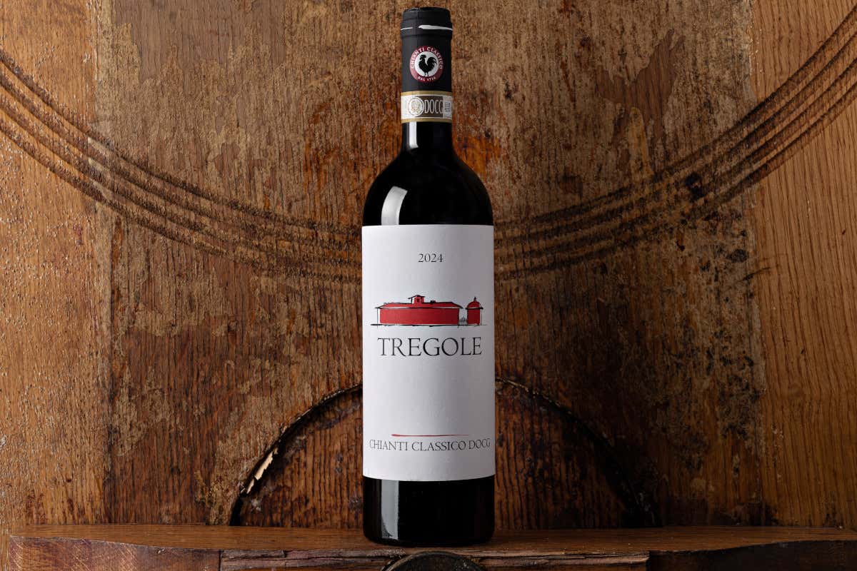 Castellina, la Uga più grande del Chianti Classico dove ogni collina fa un vino diverso Castellina, la Uga più grande del Chianti Classico dove ogni collina fa un vino diverso