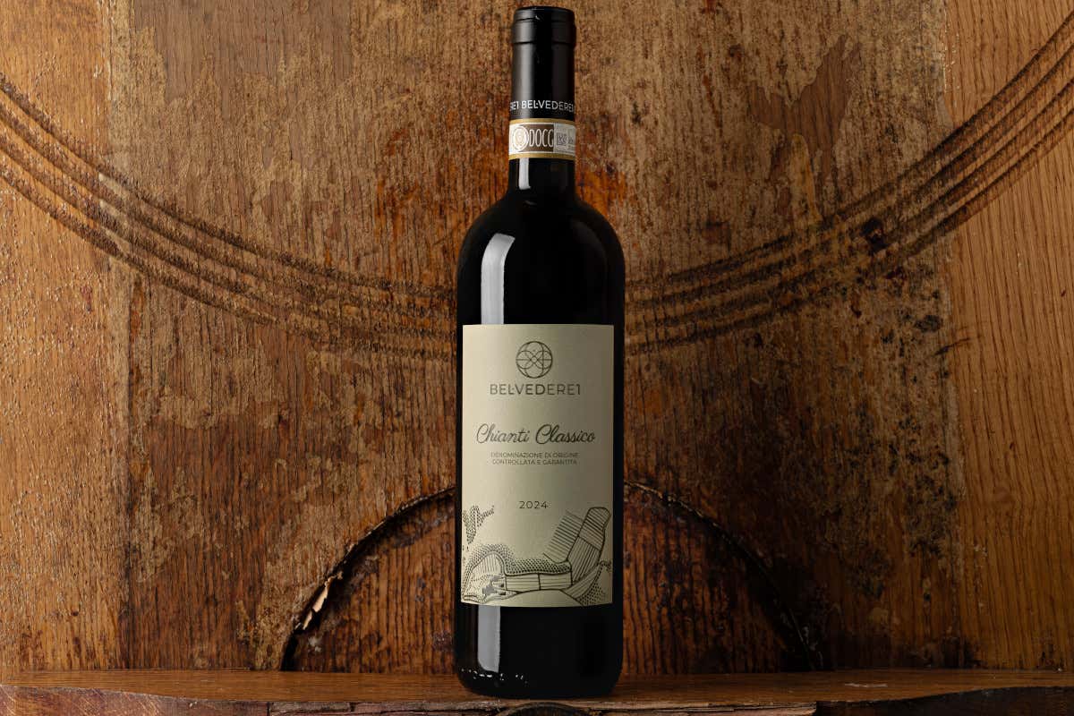 Castellina, la Uga più grande del Chianti Classico dove ogni collina fa un vino diverso Castellina, la Uga più grande del Chianti Classico dove ogni collina fa un vino diverso