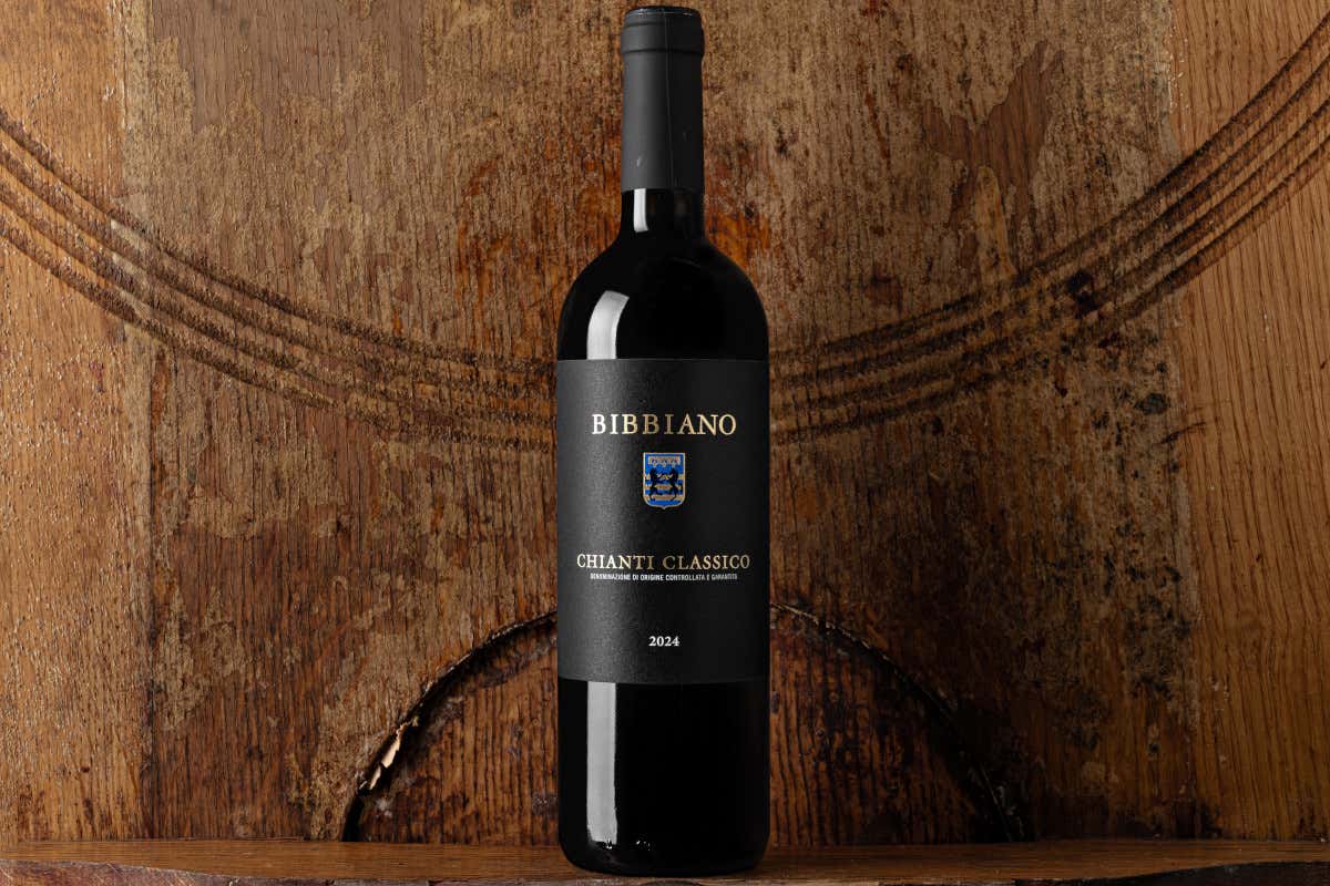 Castellina, la Uga più grande del Chianti Classico dove ogni collina fa un vino diverso Castellina, la Uga più grande del Chianti Classico dove ogni collina fa un vino diverso
