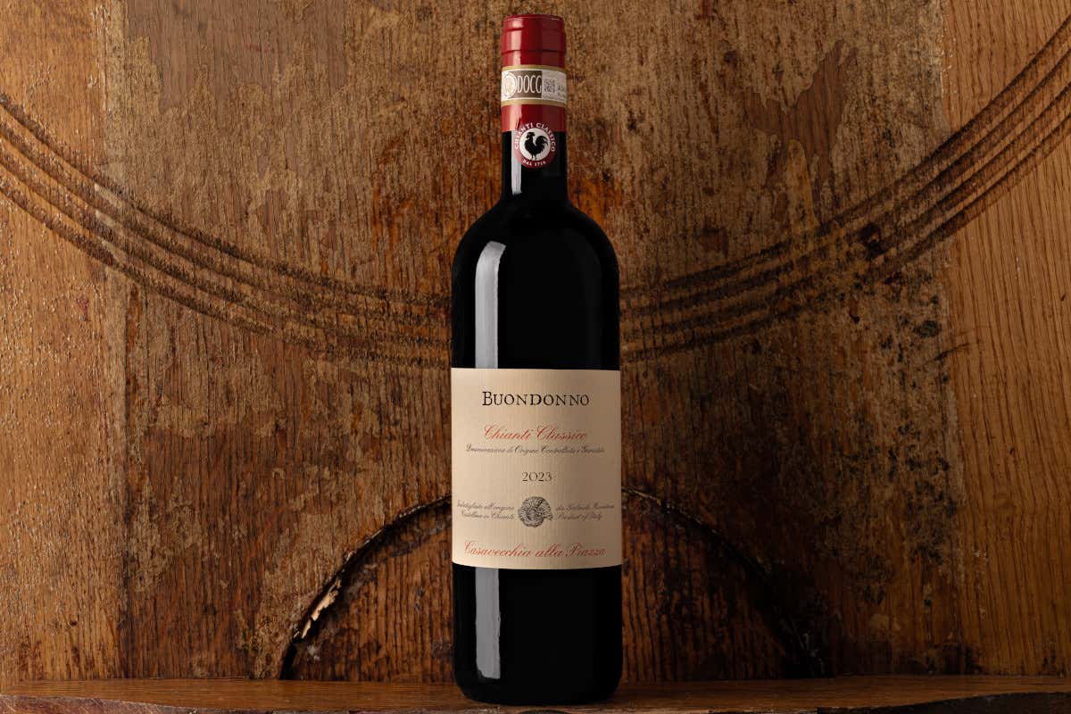 Castellina, la Uga più grande del Chianti Classico dove ogni collina fa un vino diverso Castellina, la Uga più grande del Chianti Classico dove ogni collina fa un vino diverso