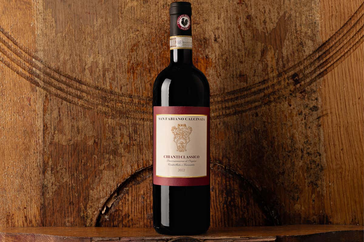 Castellina, la Uga più grande del Chianti Classico dove ogni collina fa un vino diverso Castellina, la Uga più grande del Chianti Classico dove ogni collina fa un vino diverso