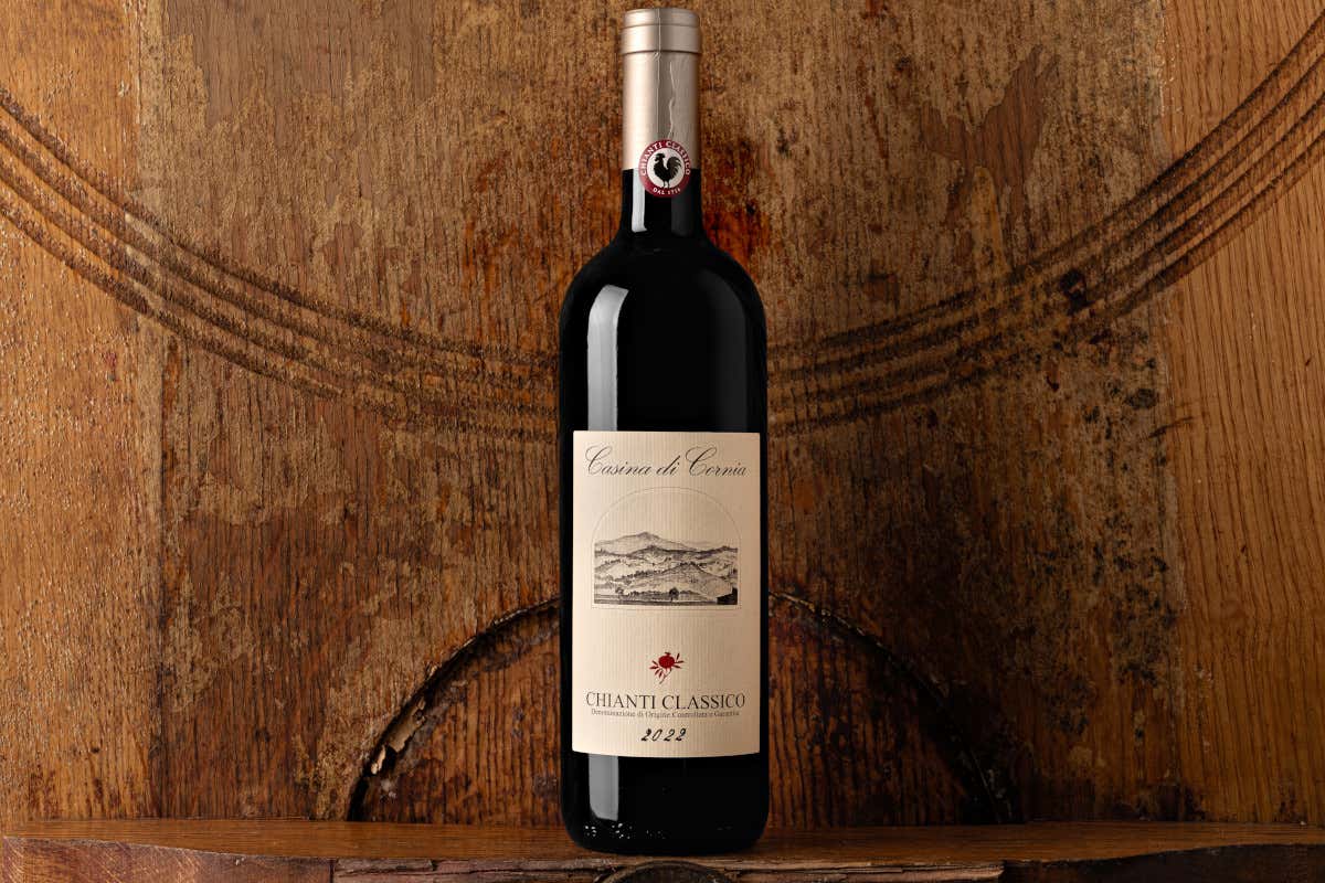 Castellina, la Uga più grande del Chianti Classico dove ogni collina fa un vino diverso Castellina, la Uga più grande del Chianti Classico dove ogni collina fa un vino diverso