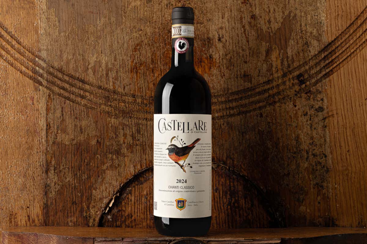 Castellina, la Uga più grande del Chianti Classico dove ogni collina fa un vino diverso Castellina, la Uga più grande del Chianti Classico dove ogni collina fa un vino diverso