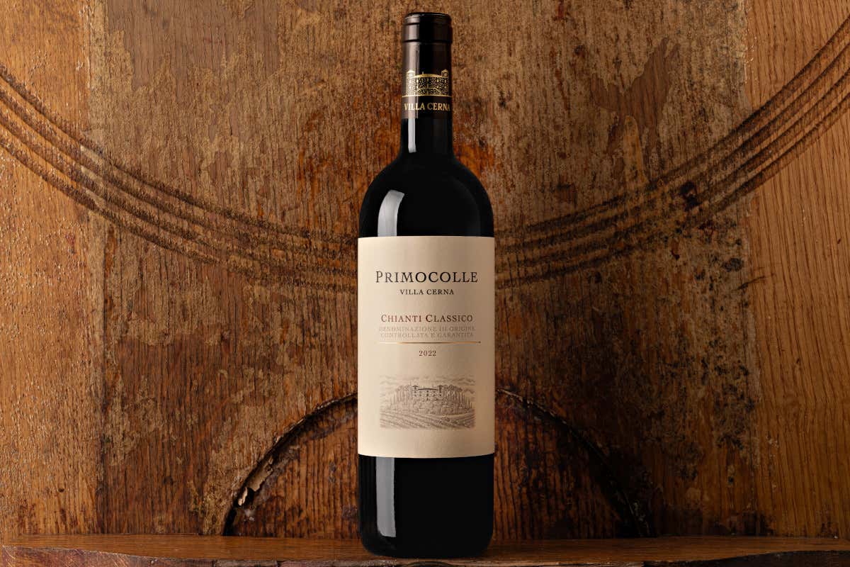 Castellina, la Uga più grande del Chianti Classico dove ogni collina fa un vino diverso Castellina, la Uga più grande del Chianti Classico dove ogni collina fa un vino diverso