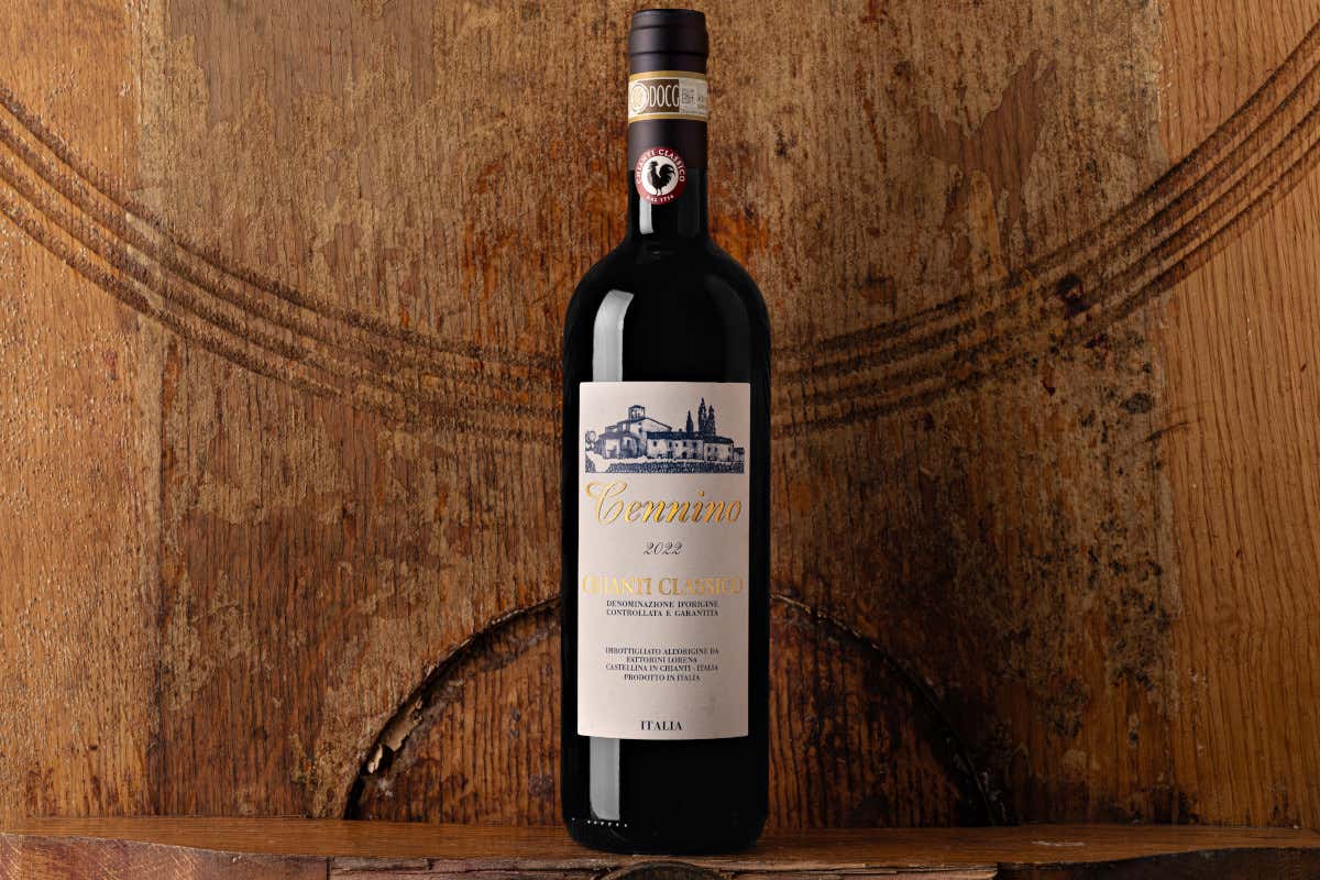 Castellina, la Uga più grande del Chianti Classico dove ogni collina fa un vino diverso Castellina, la Uga più grande del Chianti Classico dove ogni collina fa un vino diverso