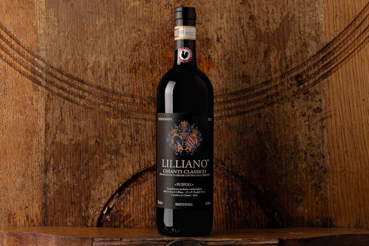 Castellina, la Uga più grande del Chianti Classico dove ogni collina fa un vino diverso Castellina, la Uga più grande del Chianti Classico dove ogni collina fa un vino diverso