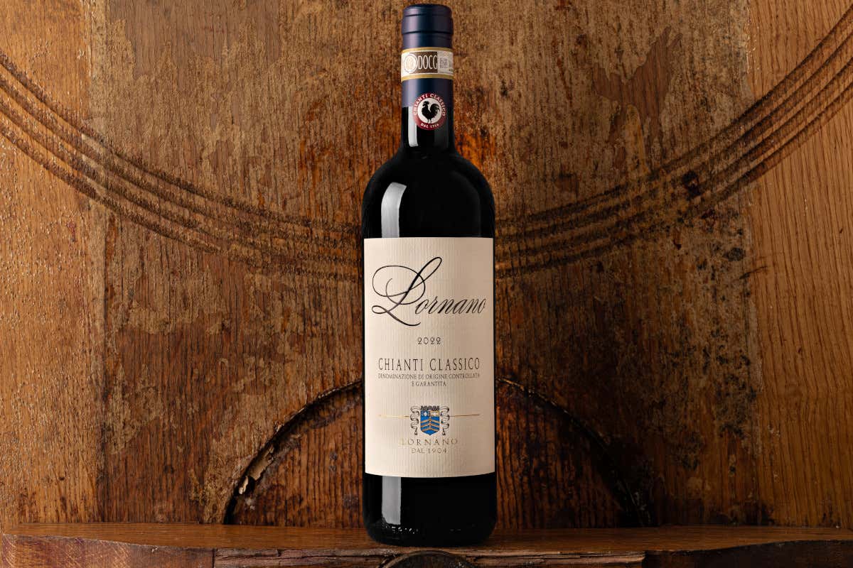 Castellina, la Uga più grande del Chianti Classico dove ogni collina fa un vino diverso Castellina, la Uga più grande del Chianti Classico dove ogni collina fa un vino diverso