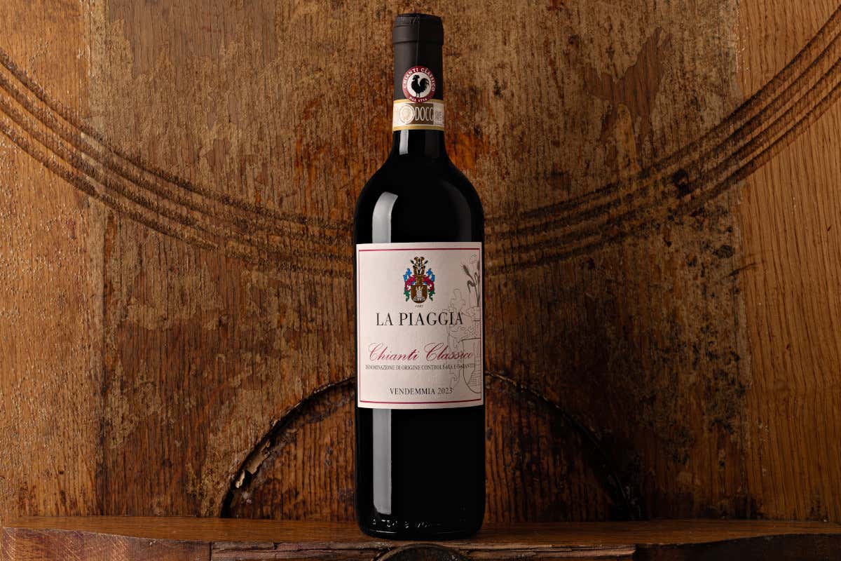 Castellina, la Uga più grande del Chianti Classico dove ogni collina fa un vino diverso Castellina, la Uga più grande del Chianti Classico dove ogni collina fa un vino diverso