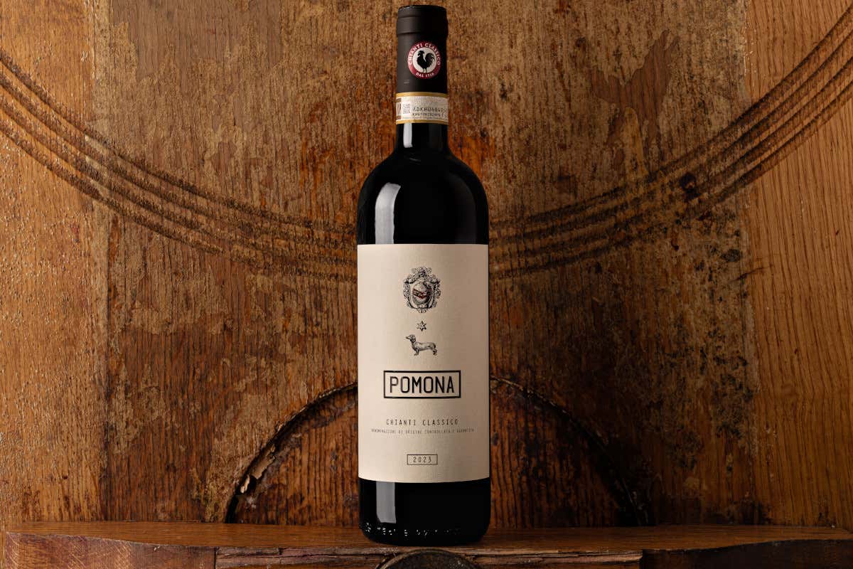 Castellina, la Uga più grande del Chianti Classico dove ogni collina fa un vino diverso Castellina, la Uga più grande del Chianti Classico dove ogni collina fa un vino diverso