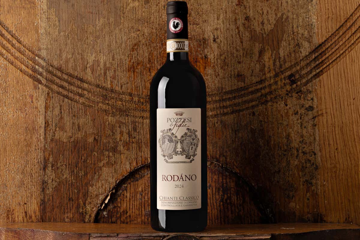 Castellina, la Uga più grande del Chianti Classico dove ogni collina fa un vino diverso Castellina, la Uga più grande del Chianti Classico dove ogni collina fa un vino diverso