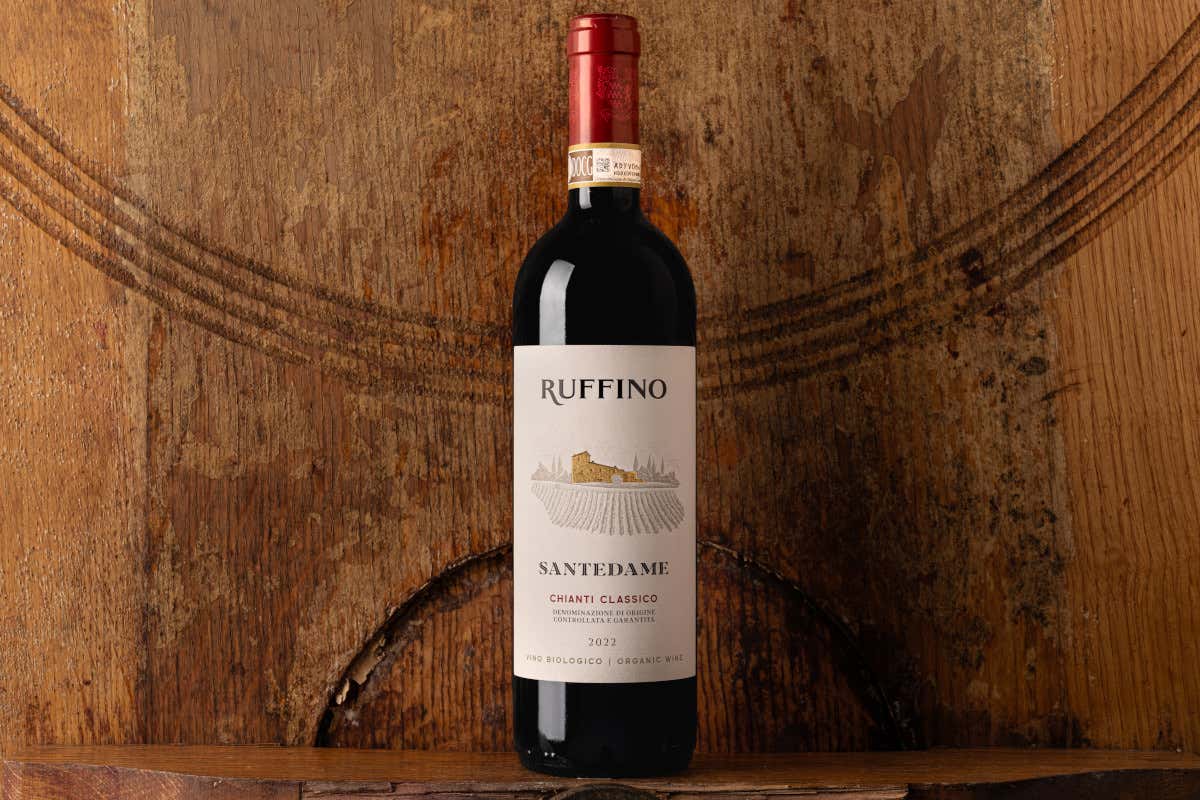 Castellina, la Uga più grande del Chianti Classico dove ogni collina fa un vino diverso Castellina, la Uga più grande del Chianti Classico dove ogni collina fa un vino diverso