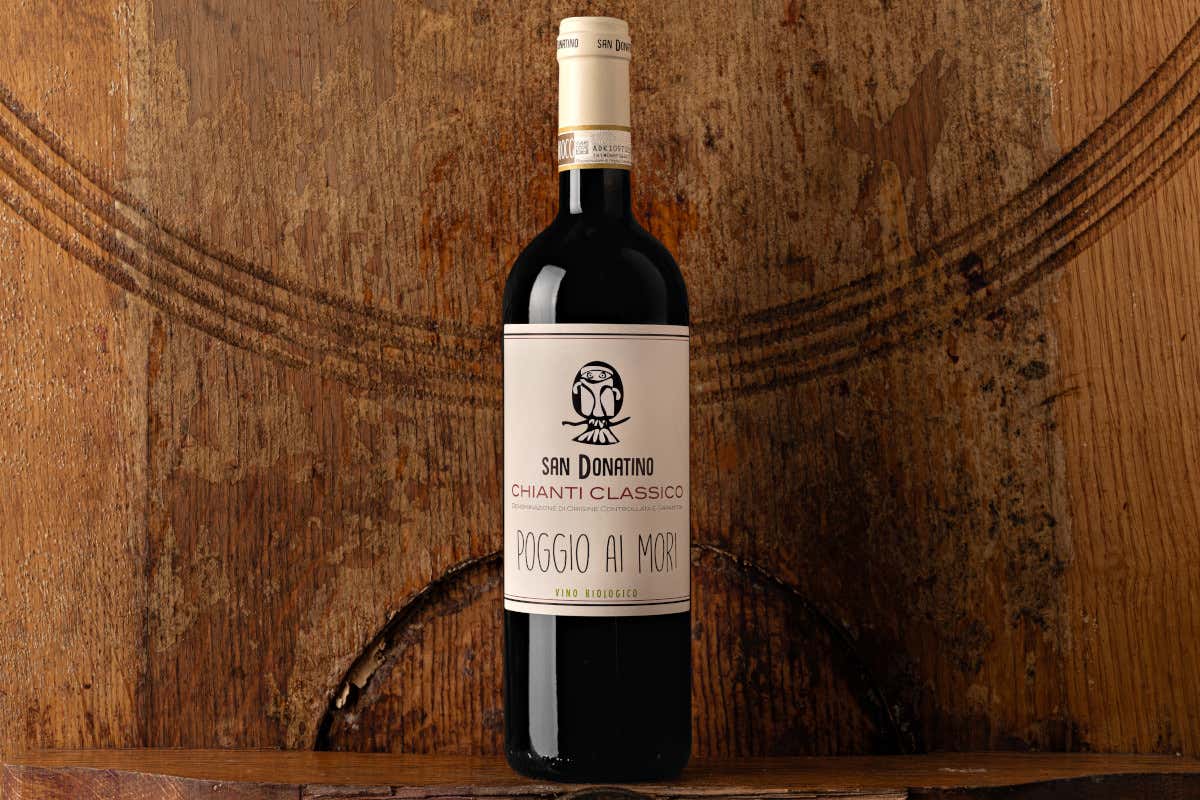 Castellina, la Uga più grande del Chianti Classico dove ogni collina fa un vino diverso Castellina, la Uga più grande del Chianti Classico dove ogni collina fa un vino diverso