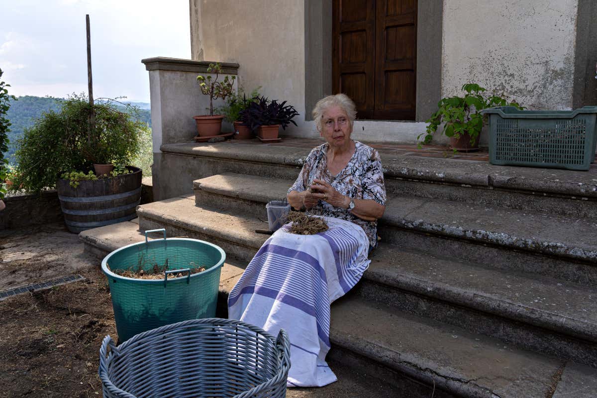 Il carattere unico del Chianti Classico ad alta quota nella piccola Uga di Lamole Il carattere unico del Chianti Classico ad alta quota nella piccola Uga di Lamole