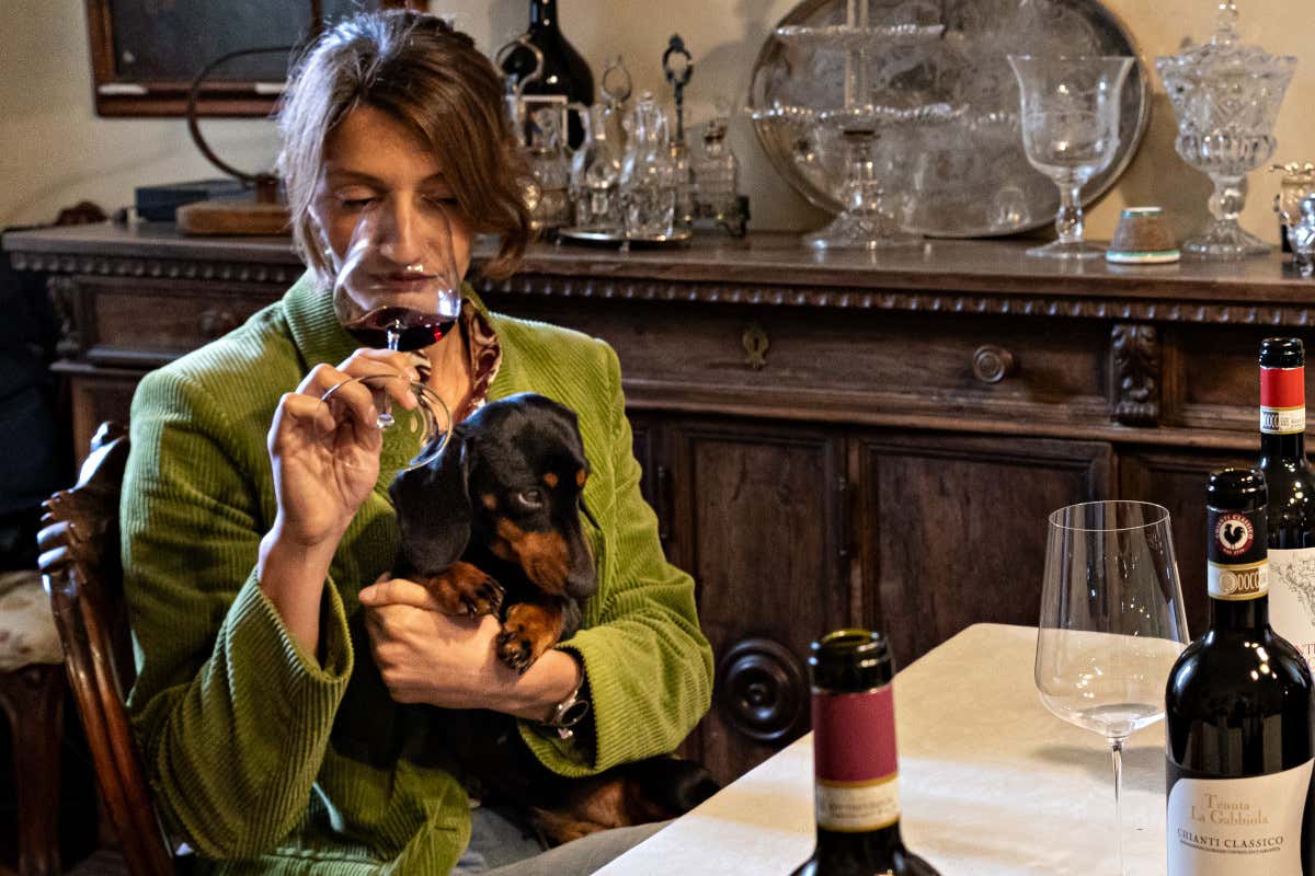Cigliano di Sopra, quando recuperare la tradizione significa creare vini contemporanei