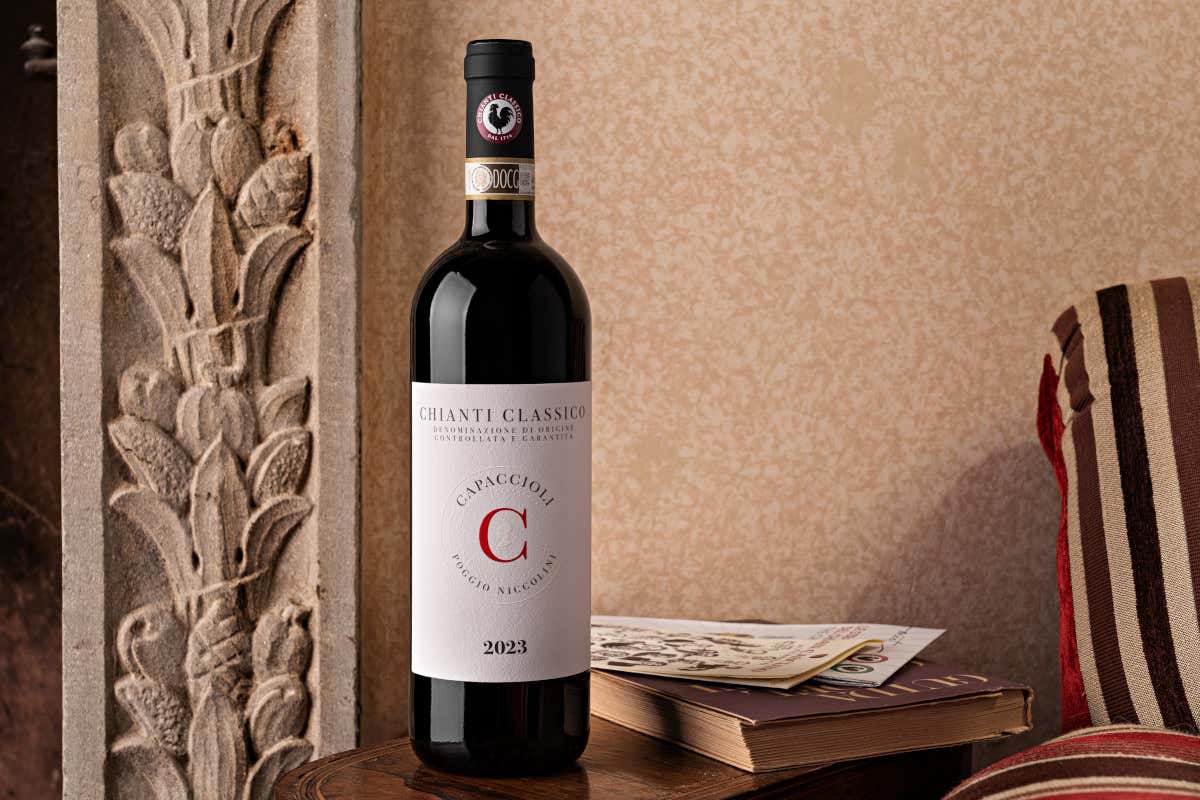 Capaccioli - Poggio Niccolini: Chianti Classico Capaccioli 2023