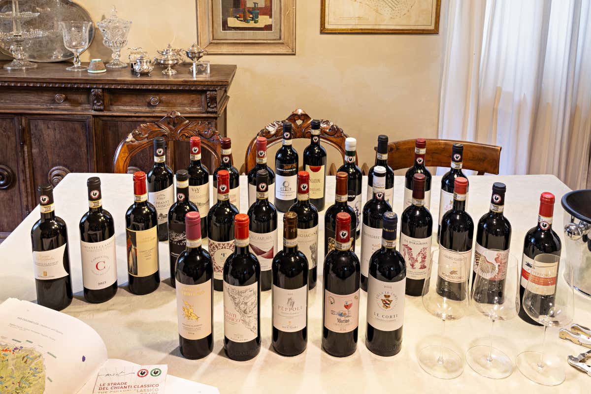 Uga di San Casciano: i vini degustati