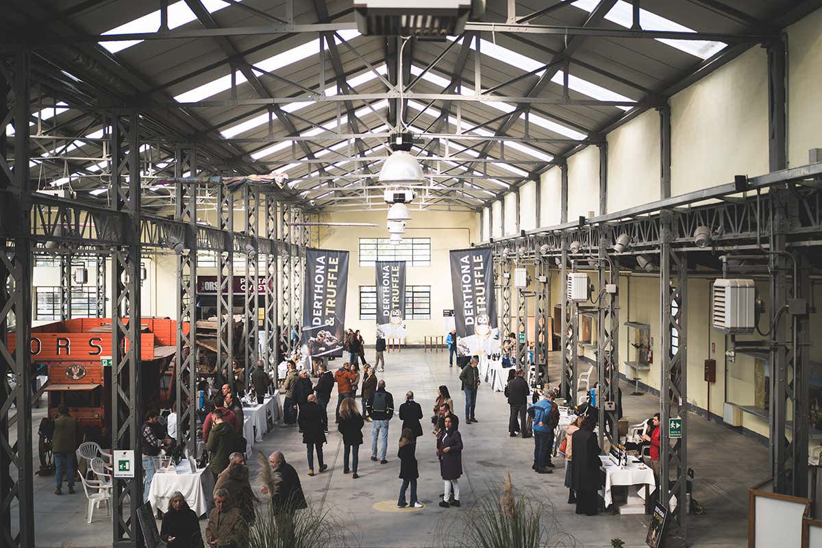 Derthona, l’anima bianca dei Colli Tortonesi che guarda al mondo