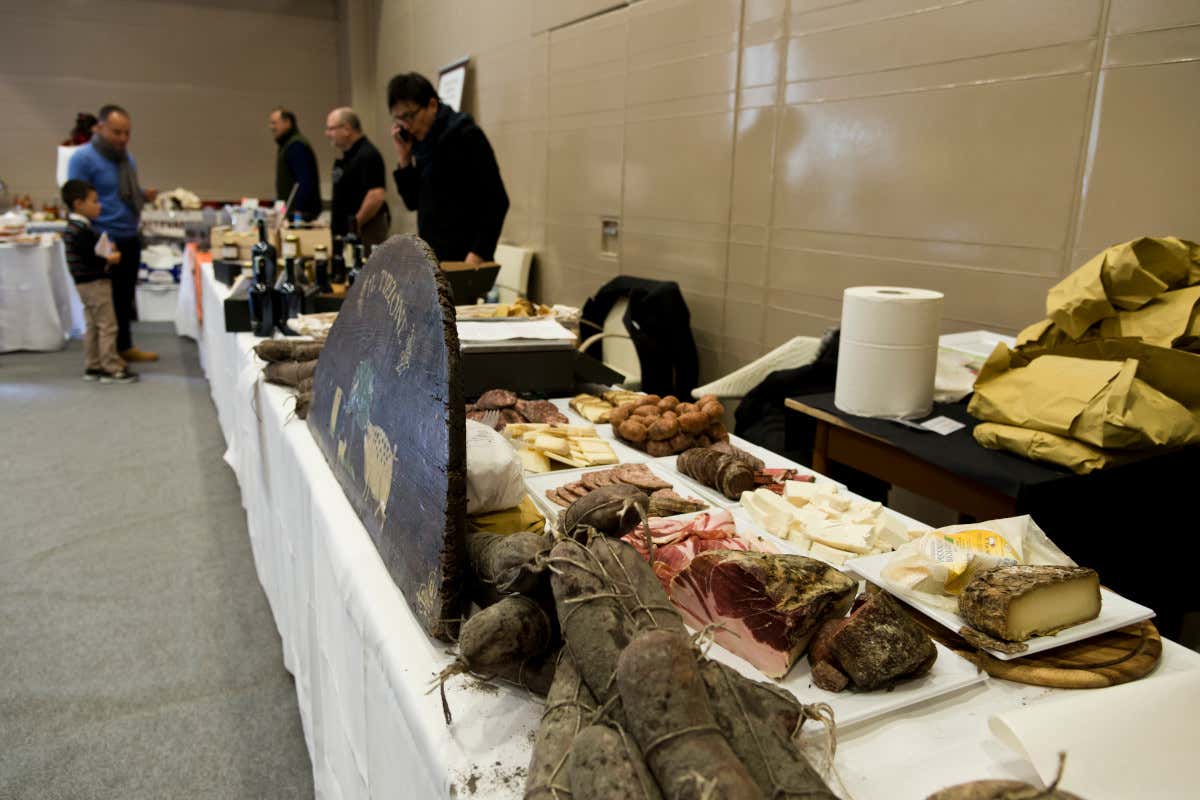 Terre di Toscana 2026: 140 produttori e oltre 700 etichette in Versilia Terre di Toscana 2026: 140 produttori e oltre 700 etichette in Versilia