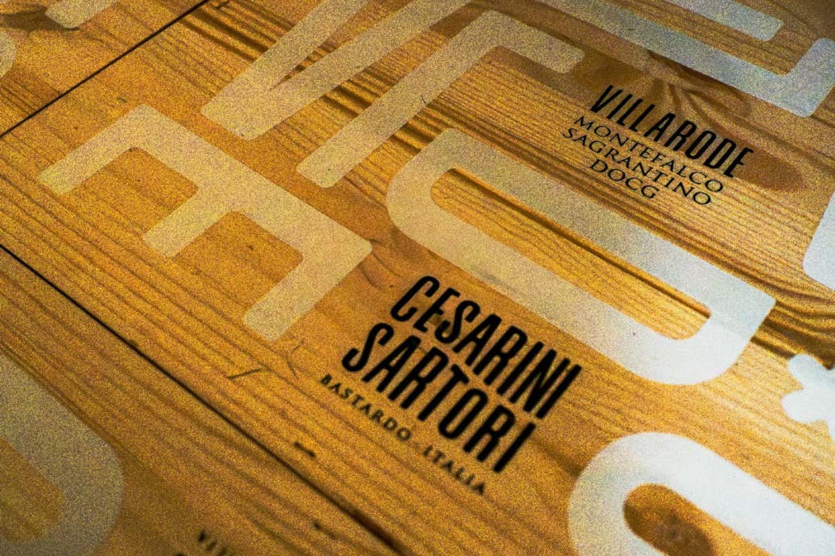 Cesarini Sartori: cantina “laboratorio” fra vino, olio e ricerca sul Sagrantino Cesarini Sartori: cantina “laboratorio” fra vino, olio e ricerca sul Sagrantino