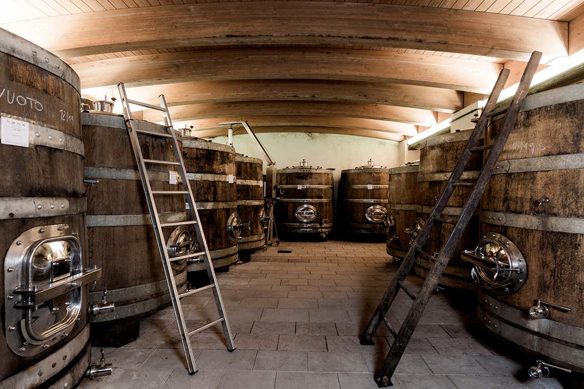 Radikon lancia POP, il vino che attraversa i confini e parla ai popoli Radikon lancia POP, il vino che attraversa i confini e parla ai popoli