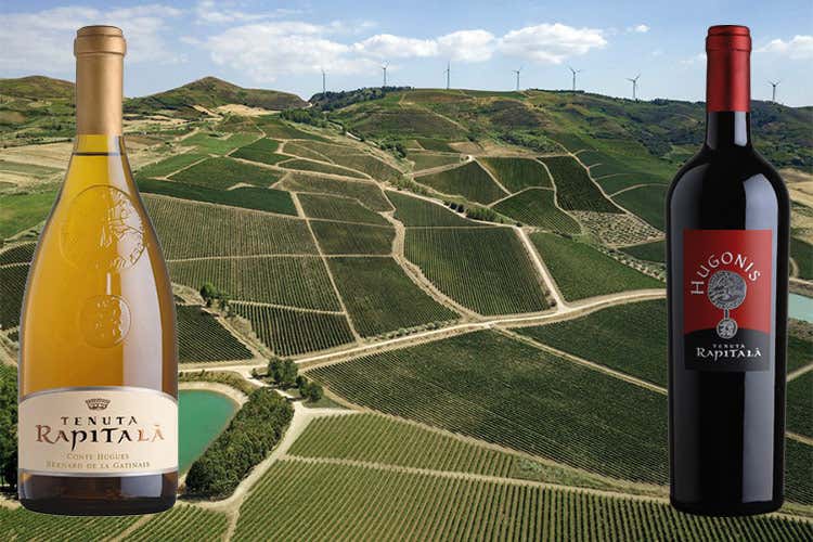 Il Conte Hugues e Hugonis - Rapitalà, Hugonis e Conte Hugues Vini siciliani, omaggio al fondatore Il Conte Hugues e Hugonis - Rapitalà, Hugonis e Conte Hugues Vini siciliani, omaggio al fondatore