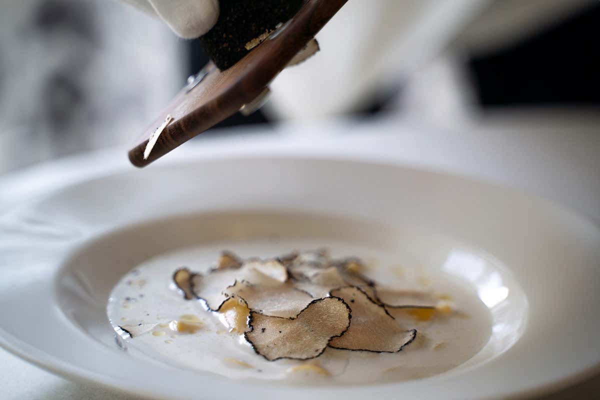 Il ristorante sul lago di Como che ha riscritto l’autunno con tre menu e un’esperienza a “mano libera” Il ristorante sul lago di Como che ha riscritto l’autunno con tre menu e un’esperienza a “mano libera”