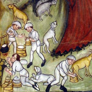 La scena di mungitura e lavorazione del latte nell'affresco con il sogno dell'angelo di S.Gioacchino (foto M. Corti)