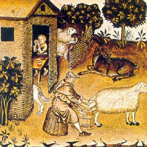 Miniatura del famoso Theatrum Sanitatis (Codice 4182 della Biblioteca Casanatense di Roma), ambiente padano della fine del XIV secolo