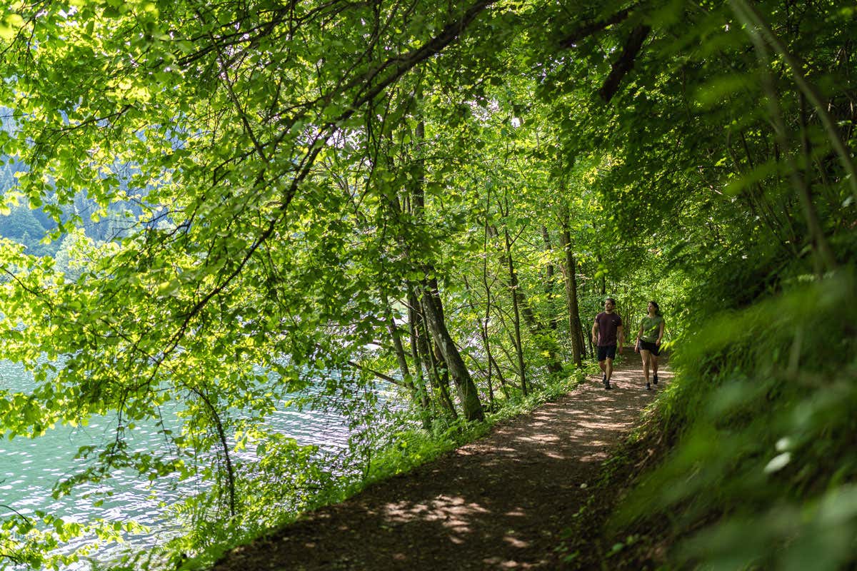 Vacanze in Carinzia: estate tra monti e laghi limpidi anche in campeggio