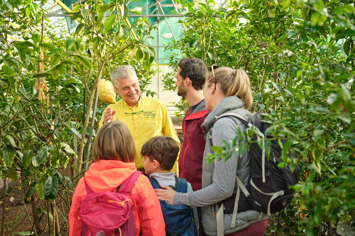 Vacanze in Carinzia: estate tra monti e laghi limpidi anche in campeggio
