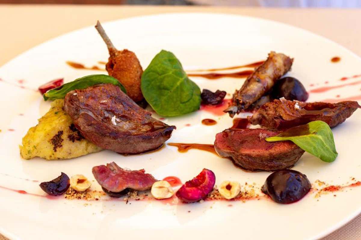 Relais Villa Olmo Il fascino della campagna toscana Relais Villa Olmo Il fascino della campagna toscana