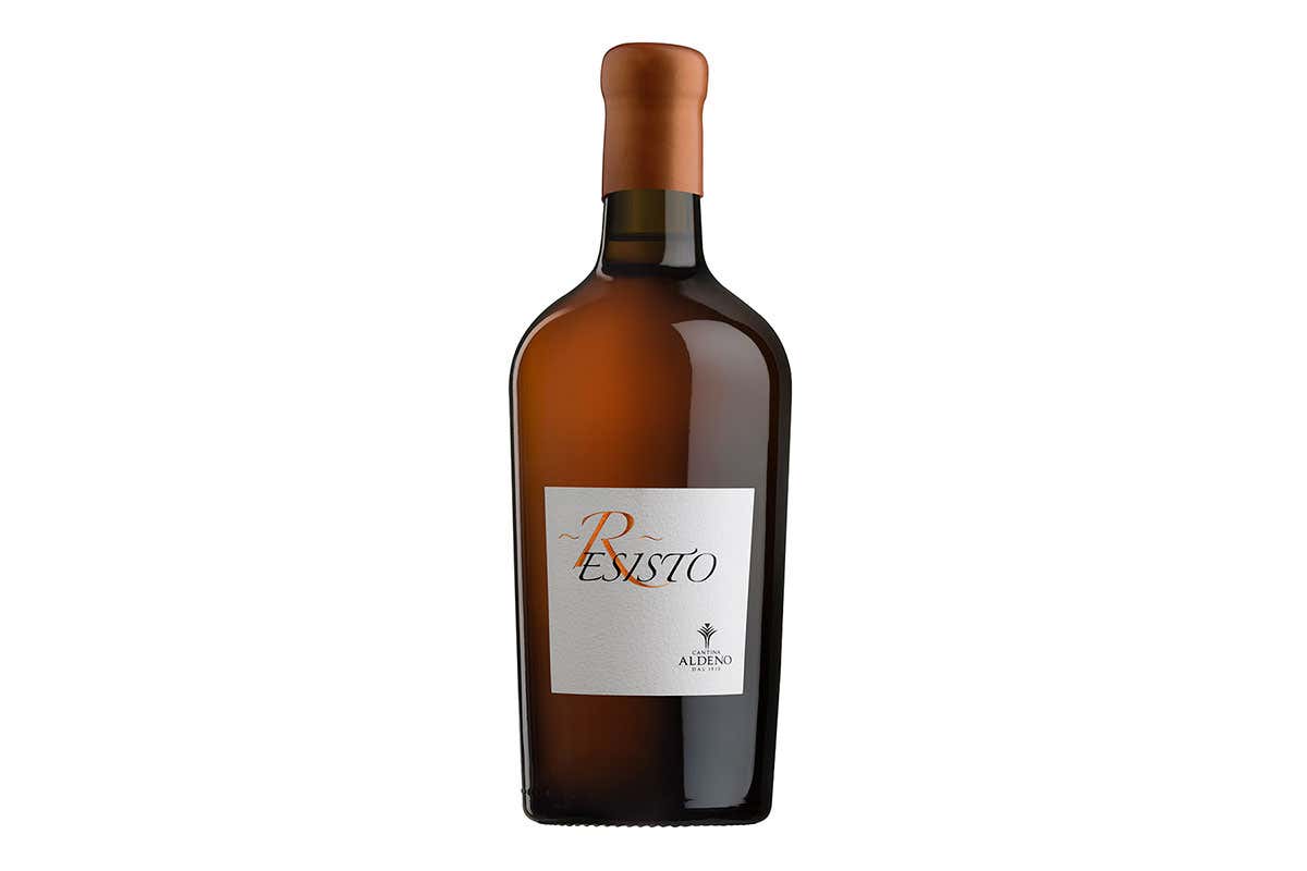 Cantina Aldeno, la prima cantina Biovegan in Italia Cantina Aldeno, la prima cantina Biovegan in Italia