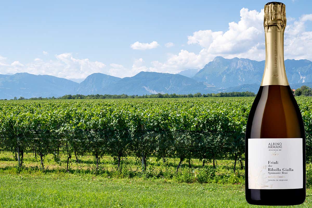 Ribolla Gialla Albino Armani, eccellenza friulana Ribolla Gialla Albino Armani, eccellenza friulana