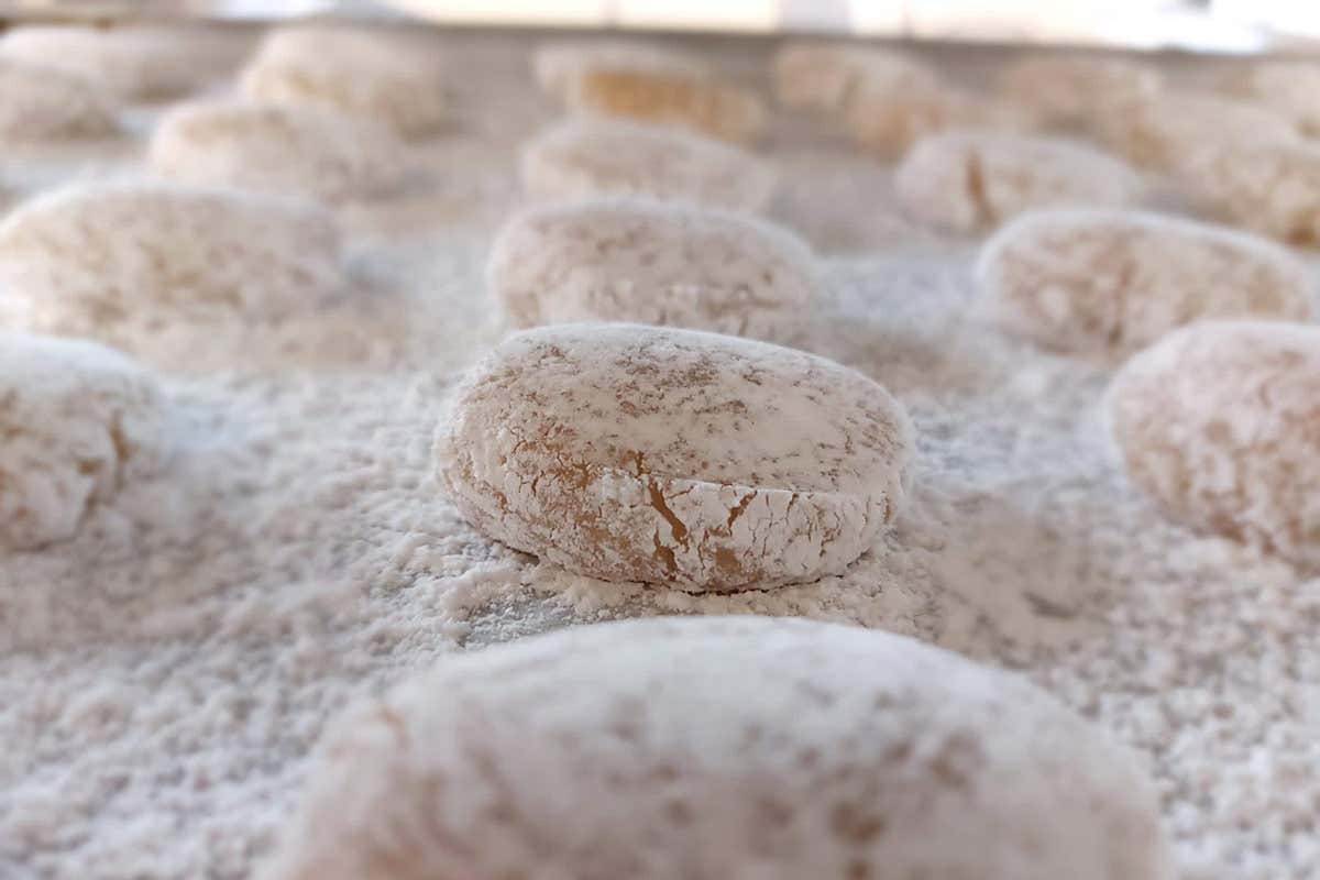 Lavorazione dei Ricciarelli di Siena Igp I dolci toscani raccontano il territorio e le tradizioni