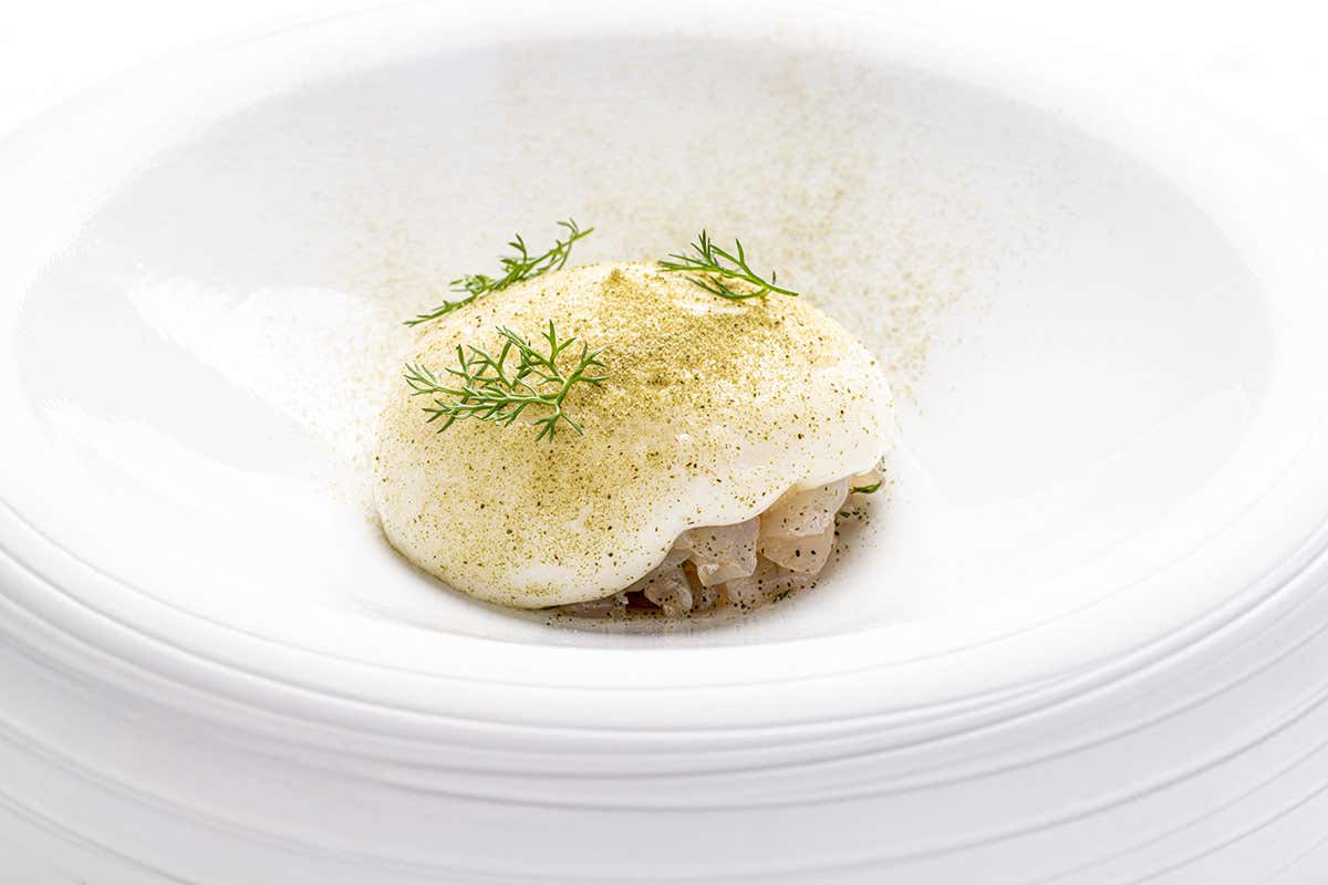 Ricciola in ceviche, finocchio, codium