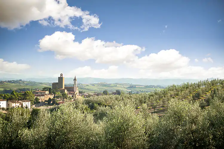 Il [Rinascimento dell&rsquo;olio] riparte dalle vacanze