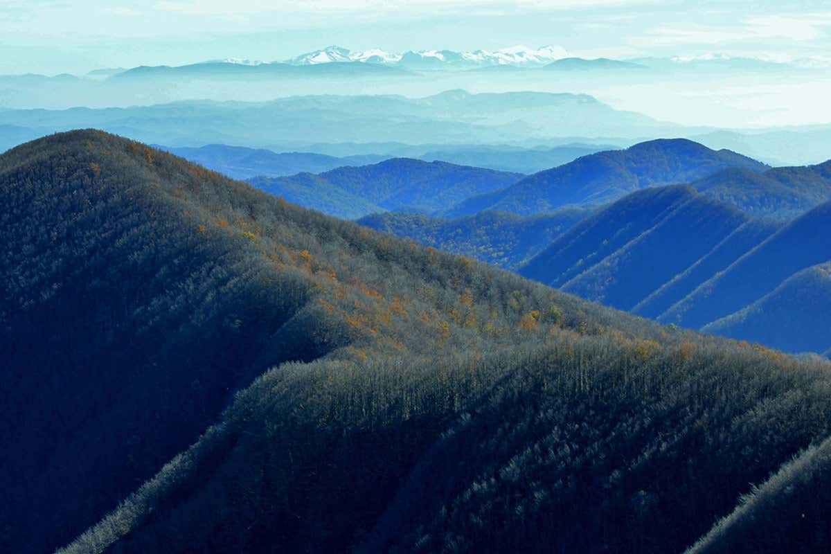 Riserva Naturale Alpe della Luna