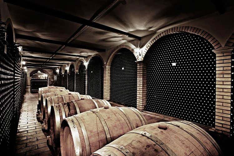 (Le Riserve Montepulciano di Bosco Piena ed elegante identità abruzzese) (Le Riserve Montepulciano di Bosco Piena ed elegante identità abruzzese)