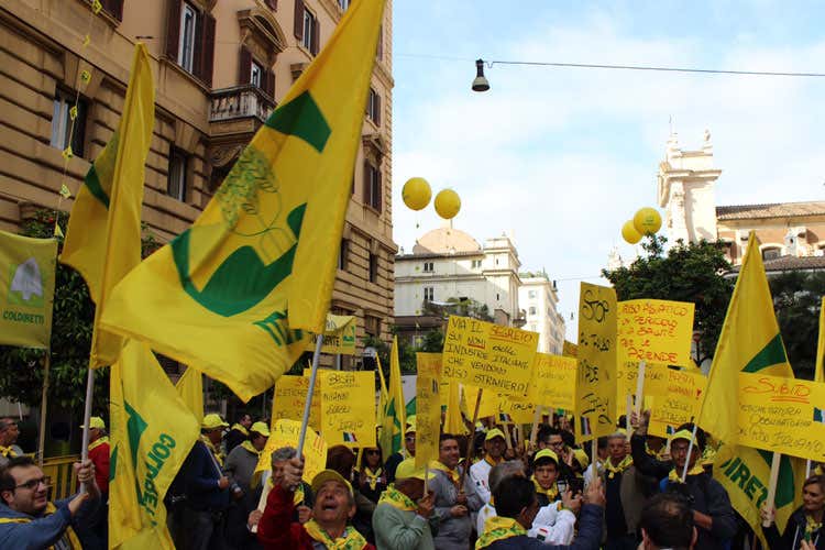 Riso, 1 pacco su 4 è straniero ma non si sa Produttori italiani in rivolta a Roma