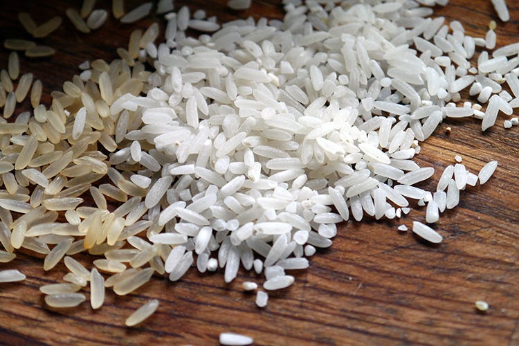 Il riso oggi è un ingrediente ricercato e valorizzato in ogni cucina (Riso, un cereale antico oggi in tutte le cucine del mondo)