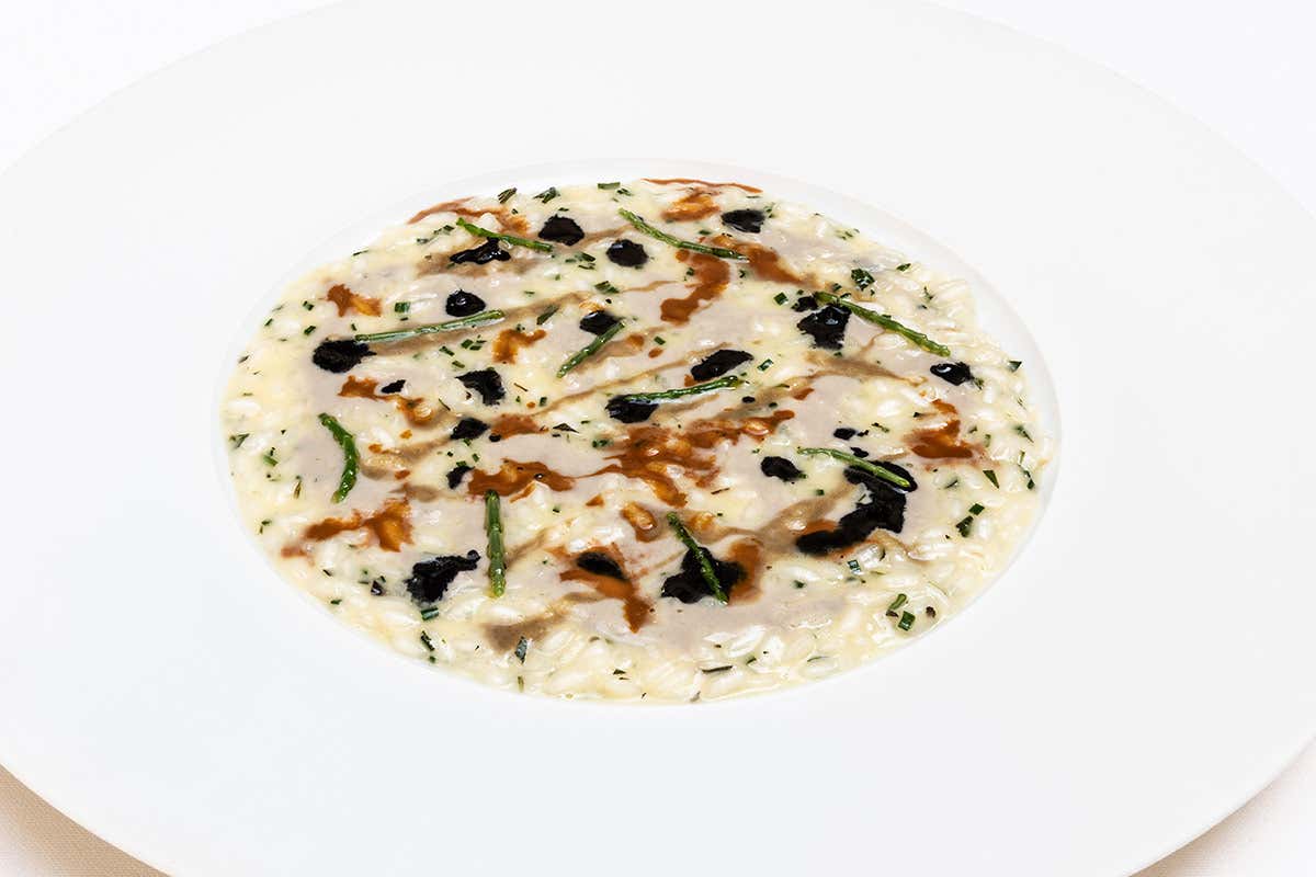 Risotto alle erbe con salsa di cozze, ricci di mare e sgombro Risotto alle erbe con salsa di cozze, ricci di mare e sgombro