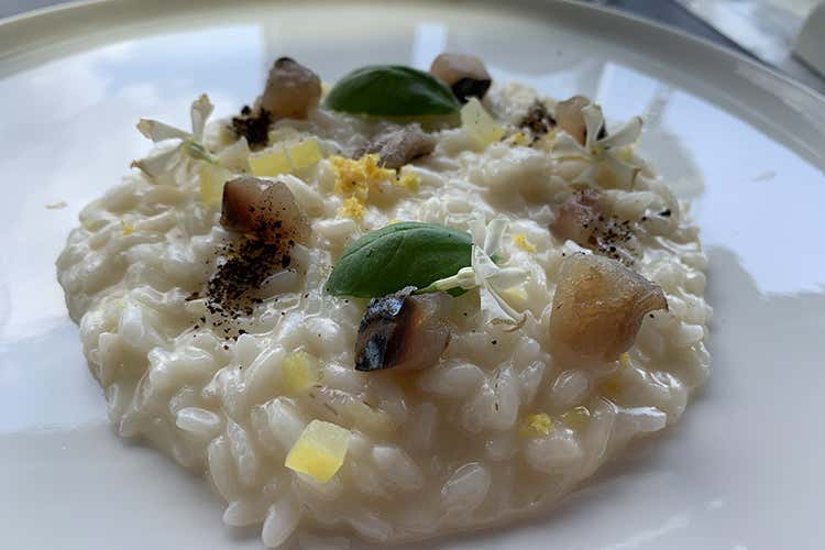 Risotto Il chicco del Mulino, limone salato, sgombro affumicato, gesomino Terrazza Gallia inaugura l&rsquo;estate Il menu dedicato dei fratelli Lebano