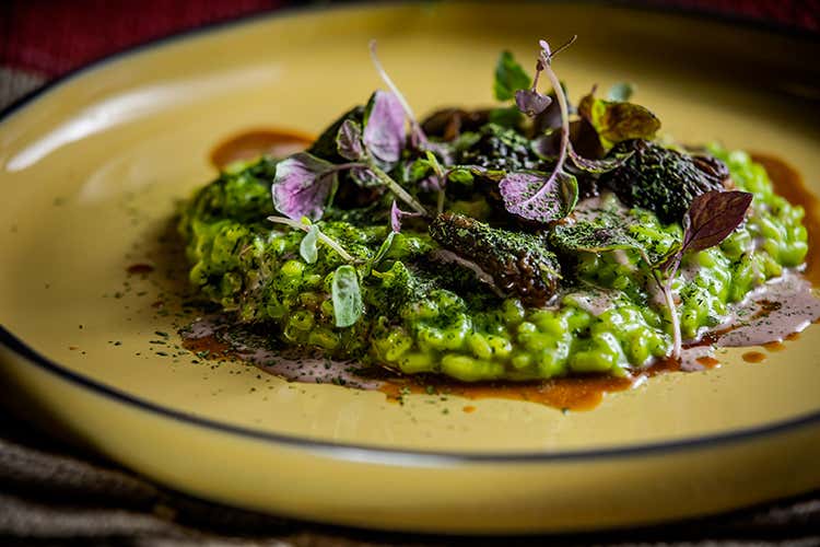 Il risotto verde di Rosario Simeoli (Risotto verde all’aglio orsino con spugnole e salsa di foie gras) Il risotto verde di Rosario Simeoli (Risotto verde all’aglio orsino con spugnole e salsa di foie gras)