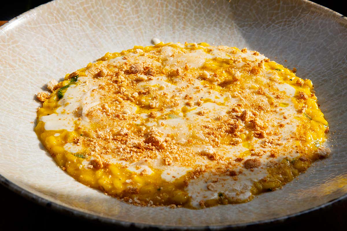 Risotto alla zucca, crema di gorgonzola lardo di Colonnata e amaretti
