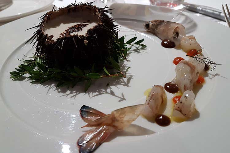 (Ristorante San Martino di Scorzè Degustazuione di un Durello speciale) (Ristorante San Martino di Scorzè Degustazuione di un Durello speciale)