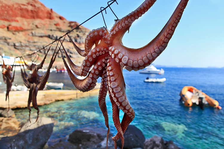 Ristori, in arrivo contributi per i ristoranti gestiti dai pescatori Ristori, in arrivo contributi per i ristoranti gestiti dai pescatori