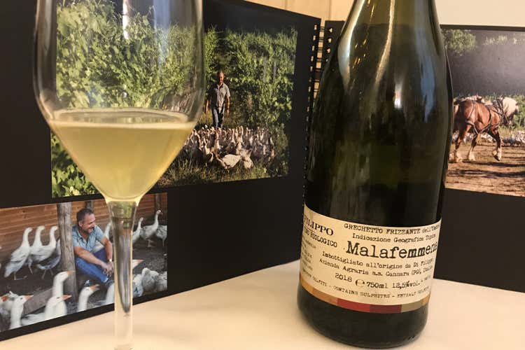 Il grechetto frizzante Malafemmena (Roberto Di Filippo, l'enologo che sussurra ai cavalli e alle oche)