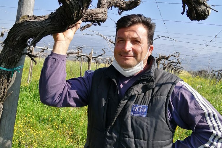 Roberto Palombelli Il Nero Buono delle Colline Pontine La resistenza dei piccoli viticoltori